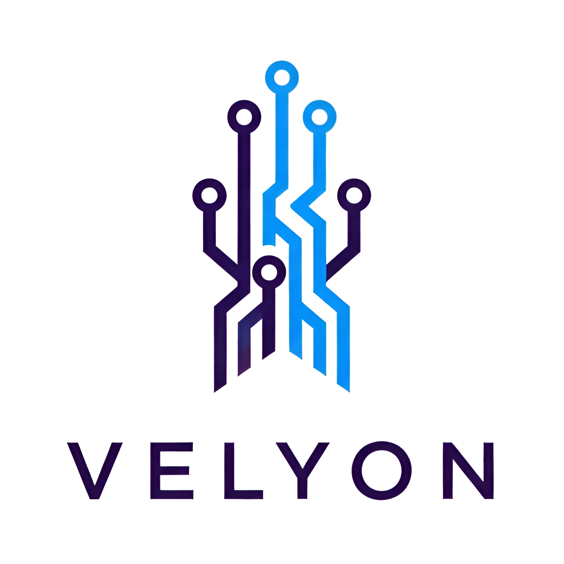 VELYON Large Logo